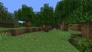 The Minecraft Bedrock 1.21.70.20 beta and preview saw many changes and improvements to the game; 's user interface (Image via Mojang Studios)